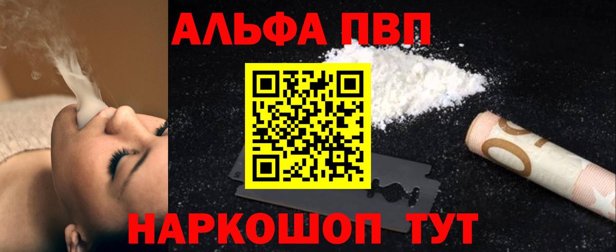 Альфа ПВП СК Хасавюрт