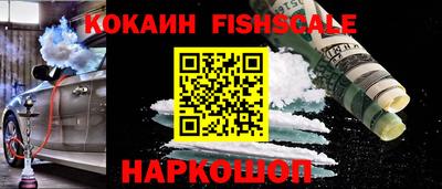 индика Кунгур