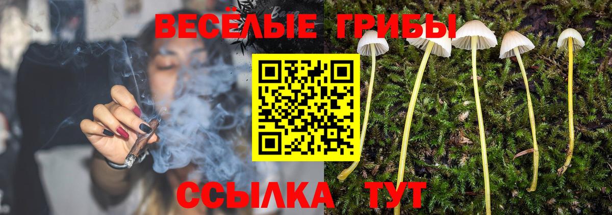 закладки  Вход с VPN  Хасавюрт  Псилоцибиновые грибы Psilocybine cubensis 
