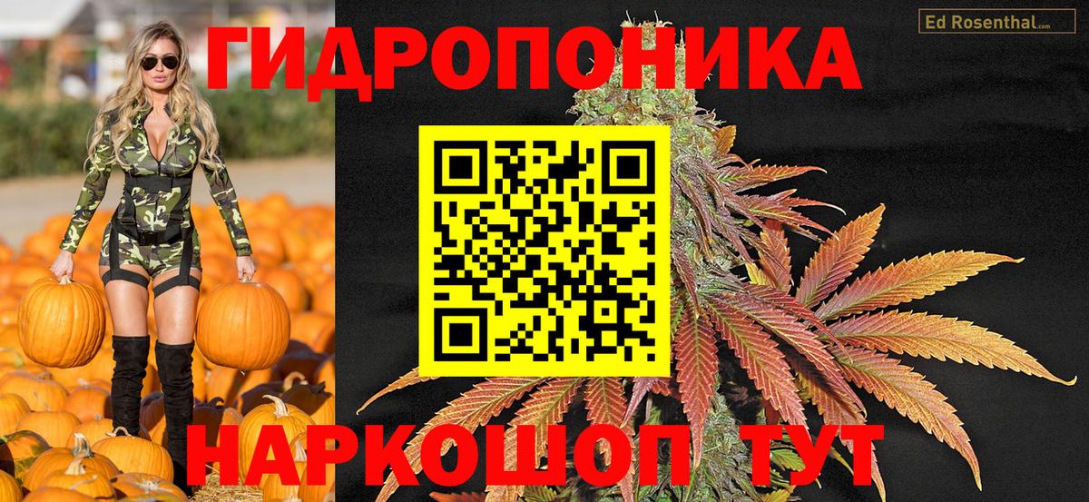 Хасавюрт  Конопля VHQ  Марихуана SATIVA & INDICA  Вход с VPN  Конопля тримм 